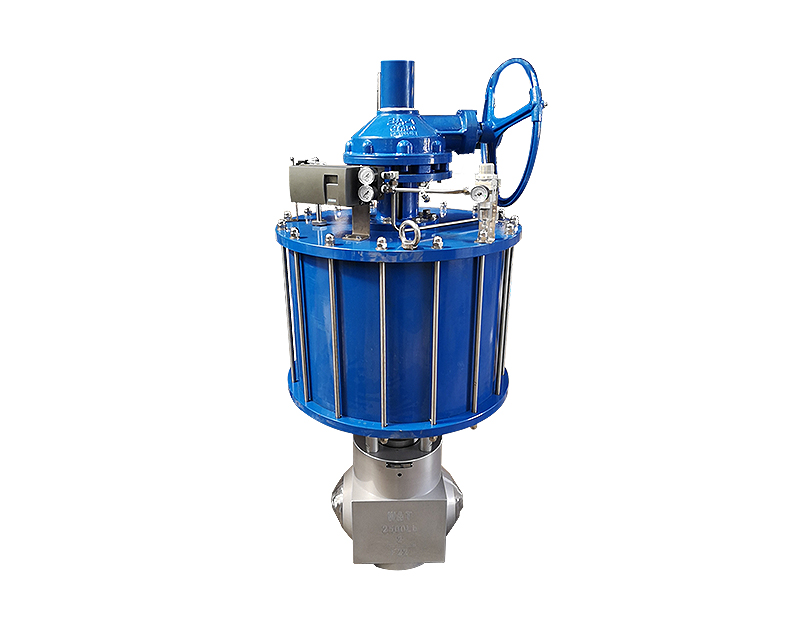 多级减压蒸汽（给水）控制阀